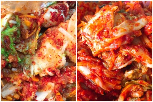 おうちで手作りキムチ【簡単で美味しい発酵レシピ】