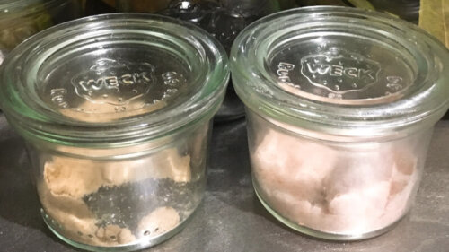 20年以上愛用しているドイツの保存容器WECKのメリット・デメリット