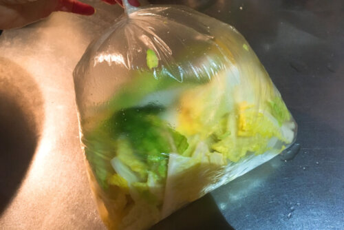 お家で本格手づくりキムチ【簡単シンプルレシピ】自家製キムチ