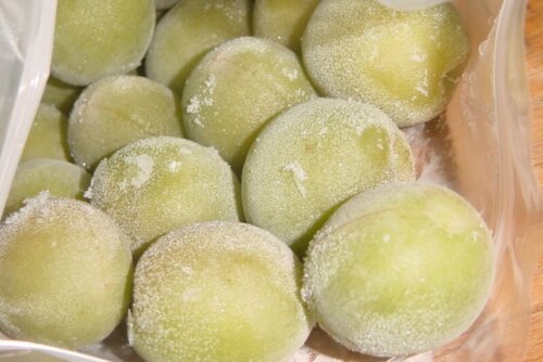 冷凍梅は48時間以上冷凍してから使う