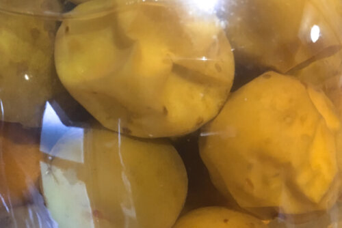 【梅仕事】冷凍梅で作る梅サワーの作り方