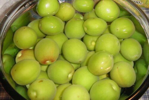 【梅仕事】冷凍梅にするメリット・デメリット