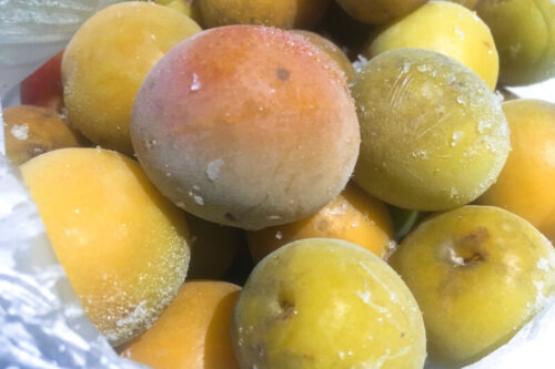 【梅仕事】冷凍梅で作る時短梅サワーの作り方